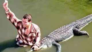 Top 5 Best Crocodile Movies I