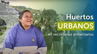 Huertos urbanos en vecindarios alimentarios | Solanda, Quito