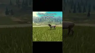 Walking Into Lamar - Yellowstone Unleashed