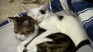 Still good friends today!