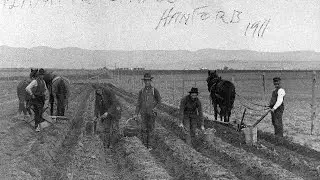 Digging Ditches