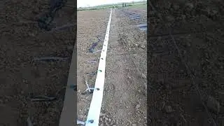 Connecting the Tapped Hole Hose and Drip Tapes