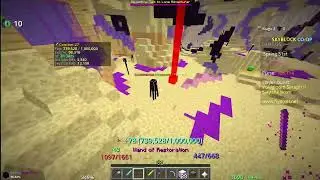 I killed a T2 Voidgloom Seraph! Hypixel Skyblock