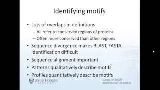 Protein Motifs