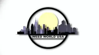 CASEY KIDD VS LOCKHART HOSTED BY OG SPACES | WEED WORLD USA