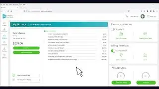 Manage Your Account and Pay Bills Through The Go Kinetic Business App