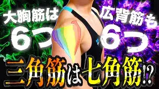 【筋トレ】三角筋は七角筋である！常識を覆す筋トレ知識をあなたに。