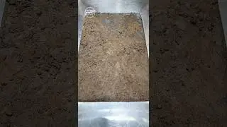 Rug Cleaning Videos #1 | Satisfying Carpet Cleaning ASMR | Notalking | video de limpieza