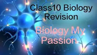 Revision Class 10 Biology