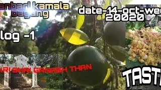PANBARI LAHORIGHAT PICKNICK PLACE ||  to kamala bagang ||  vlog-1-  14-oct-wed-2020 || axom wangrow
