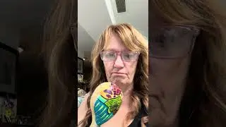 My first rattle | Indigenous art + turtle symbolism #AnishinaabeArtist&rdquo; #indigenousartist #artist