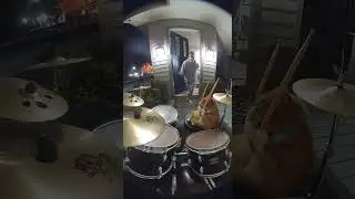 Fat Orange Cat is Going All Out Drumming Tonight! #cat #funny