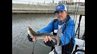 Deep Water Trout Rigs