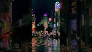 Japan B2B Travel Deals: Watch Your Business Thrive with Booking Junction #JapanTravel