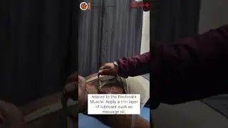 IASTM technique