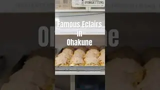 We stayed at a nearby town near the snow mountain. #fyp #ohakune #minivlog #newzealand