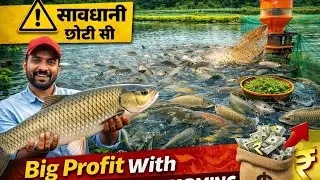 सावधानी छोटी सी। Big Profit With GRASS CARP FISH FARMING #fishfarming