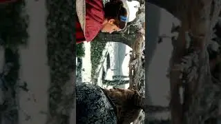 THE BEAUTY AND THE BEAST || WHATSAPP STATUS || HYMN FOR THE WEEKEND
