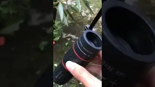 Apexel 18x telephoto zoom lens cinematography #apexel #apexellens #mobilelens #slow  #mobileediting