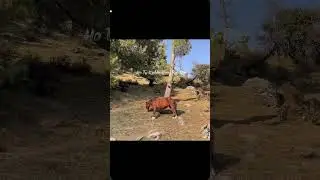 Wade tere sare bas bato me rah gai  #song #viral #shorts #reels #status