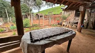 O Doce Taiada 