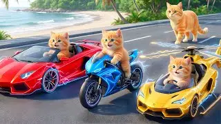 Mama Cat Trims Fur on the Farm and Makes Tiger Hat For Kittens At Home🐾🎩🐯
