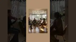 SOUND ADVENTURE: Percussion on Strings:Col Legno Battuto #contemporarymusic #stringquartet #malambo