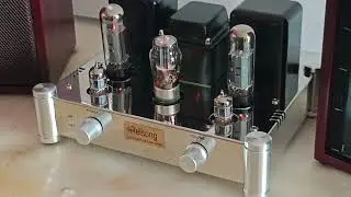 Final Listen & Save Reisong A12 Tube Amp HUGE EU CLEARANCE SALE - 50% OFF!#demon #music #hifi #sale