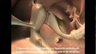 Transducci&oacute;n Auditiva  Version en Espa&ntilde;ol