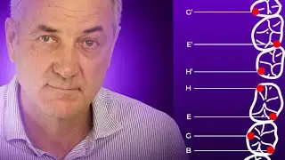 Las leyes de Planas. Rehabilitaci&oacute;n neuro-oclusal