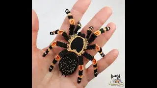 Видеоинструкция ASIT FSL Red Knee Tarantula