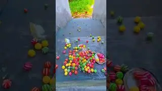 Bottle Vs Stairs Experiment😱#shorts