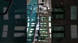 60 Million Dollar Vancouver Mansion!