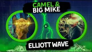 Camel & Big Mike Collab (link in video)