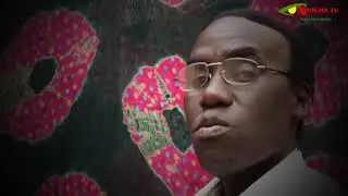 thiébou dieune ARTISTE FAYA MAGA