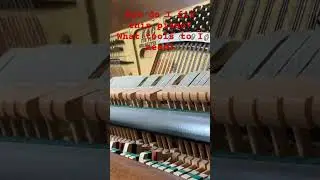 How do I fed this piano #creepypasta #darktunes #piano #darknightmusic #pianomusic
