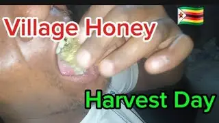 Traditional Honey Harvesting with our Kids |AFRICAN VILLAGE LIFE EXPERIENCE 