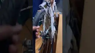 HRX cycle unboxing 🚲✨#trending #shortvideo #youtubeshort #reels #likeforlikes #shortreels