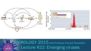 Virology 2015 Lecture #22: Emerging viruses