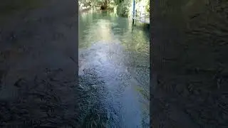Nusaybin/Beyazsu