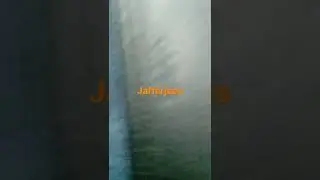Jafferjees