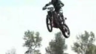 Hooligan Production's Freelin Mx