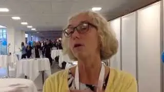 SFI-forsker: CSR Awards er de helliges fest, og der er mere at g&oslash;re
