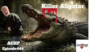 ACHP Episode 444 Killer Aligator