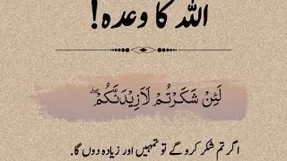 تعليم ہی سکھاتی ہے جینے کا سلیقہ is liveislami malumaat 👍👍 urdu bayaan