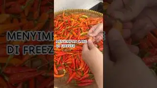 MENYIMPAN CABE AWET BERTAHUN-TAHUN