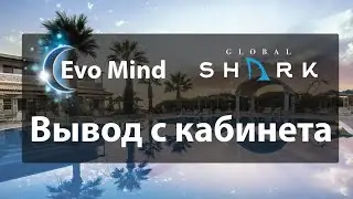 Evo Mind. Вывод денег с кабинета компании Evo Mind. Инструкция для команды GlobalShark