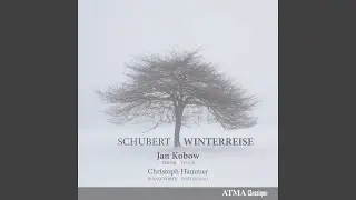Winterreise, D. 911: Der Wegweiser