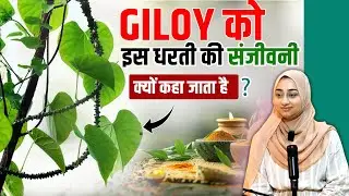 Health Benefits of Giloy &ndash;The Ultimate Immunity Booster गिलोय के फायदे _आयुर्वेदिक लाभ | Aleena Khan