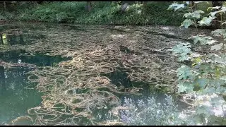 Bei den G&ouml;nninger Seen